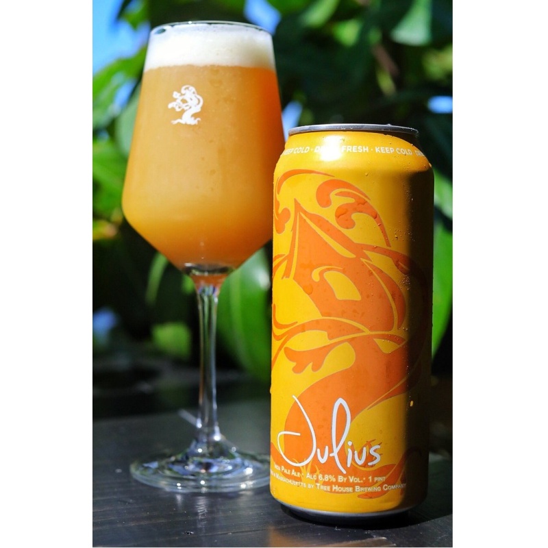 Tree House -- Julius -- May 22nd