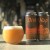 The Veil Brewing Co. Dirt Nap