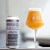 Trillium Monkish Collab Insert Hip Hop Reference There TIPA Canned 9/1
