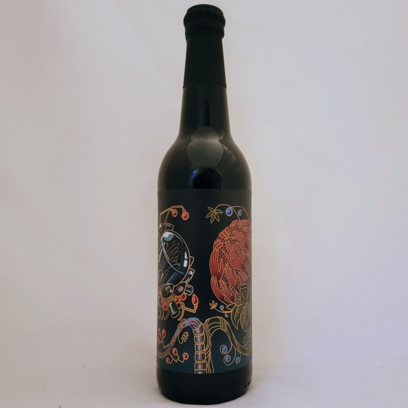 MoRE Double Origin (2025)