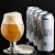 Trillium Scaled Way Up DOUBLE IPA (4 cans 2019 release)