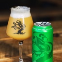 Tree House -- Green -- May 21st