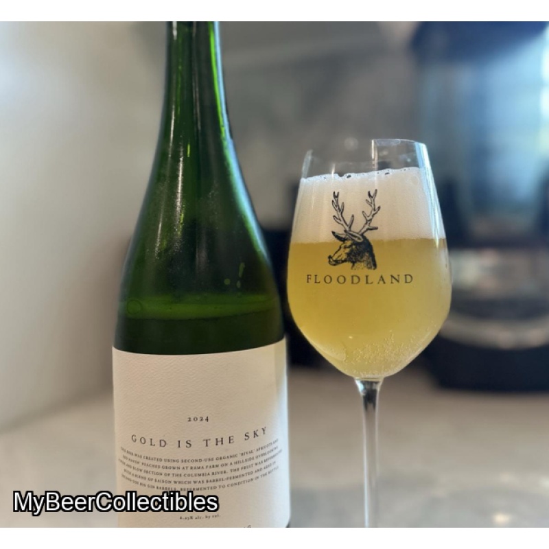 Floodland Gold Is the Sky (2024)