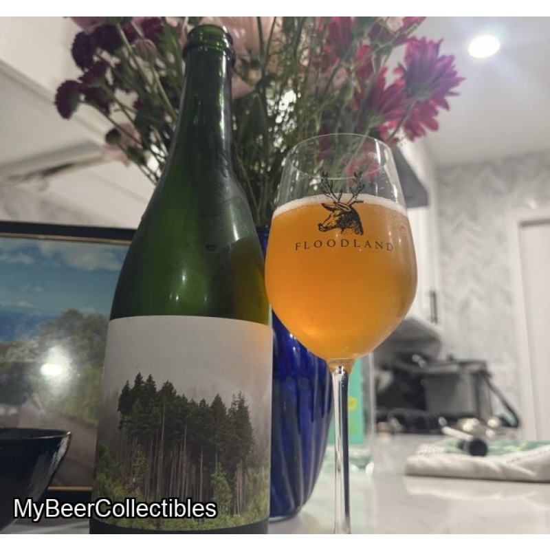 Floodland Une Saison En Enfer (2025)