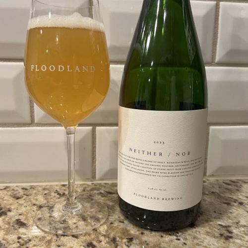Floodland Neither / Nor (2023)
