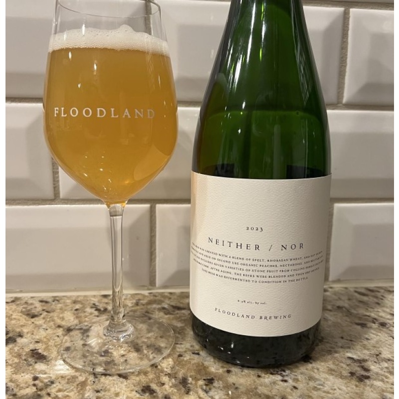 Floodland Neither / Nor (2023)