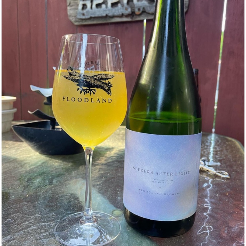 Floodland Seekers After Light 2022-2023