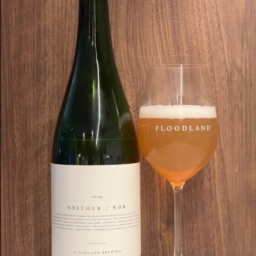 Floodland Neither / Nor (2024)
