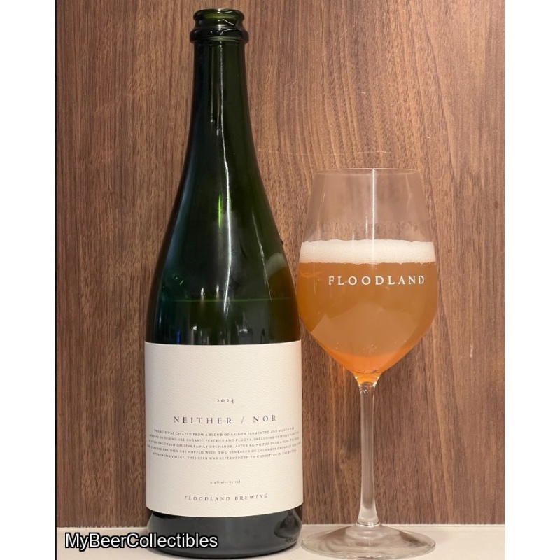 Floodland Neither / Nor (2024)