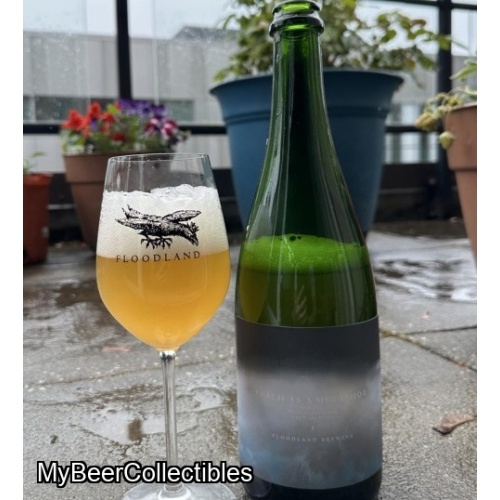 Floodland Peach as a Metaphor 2026 blend