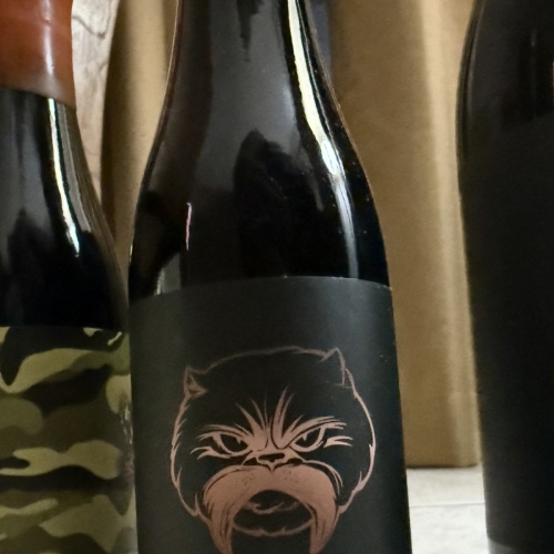 Angry Chair 2024 BA Wilfred