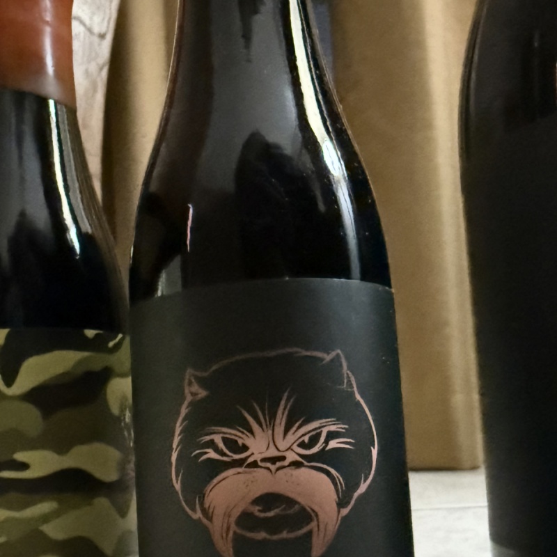 Angry Chair 2024 BA Wilfred