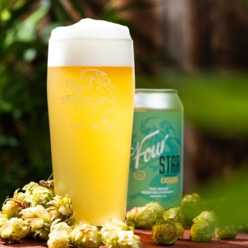 Tree House -- Four Star Fresh Hop Cascade [Pilsner] -- September 10th