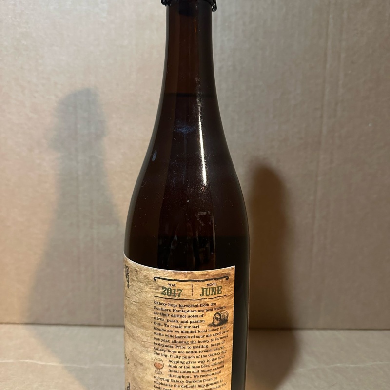 Galaxy Gardens Sour Blonde Ale