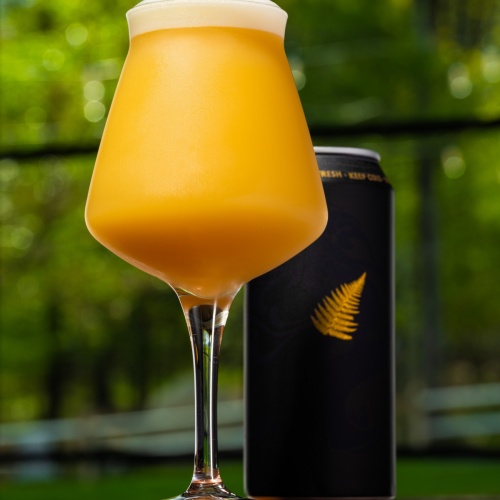 Tree House -- Golden Fern -- May 10th