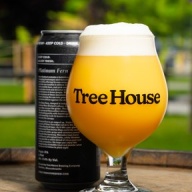 ***1 Can Tree House Platinum Fern***