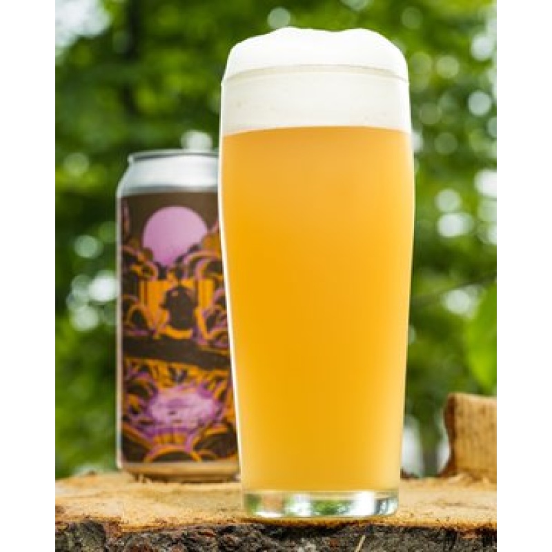 ***1 Can Tree House Lucid Dreamer***