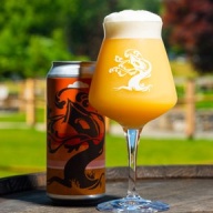 ***1 Can Tree House Electric Skies***