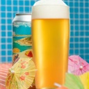 ***1 Can Tree House Curiosity 142***