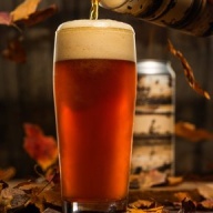 ***1 Can Tree House Solitude***