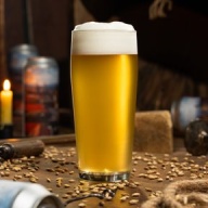 ***1 Can Tree House Quaint***