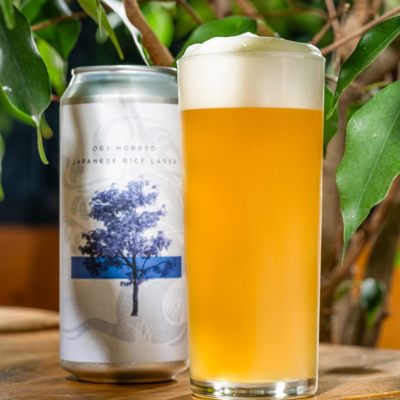 Tree House -- Komorebi: Natsukashii -- Sept 2024