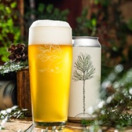 ***1 Can Tree House Seedling***