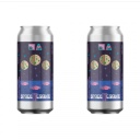 Monkish - Space Trip (2 cans)