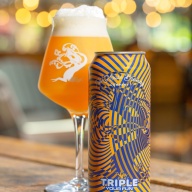 Tree House -- Triple Your Fun [Citra Galaxy Hazy 9.2%] -- May 14th