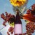 Homage Brewing - Vin Violetta B3 (Free Shipping)