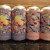 Hudson Valley Star Chamber & Mirrorshield Sour IPAs mixed 4-pack