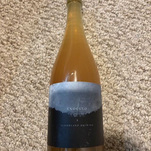 Floodland Exoculo (2025 Harvest, Bottled 2026)