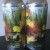 (2) Fresh cans of TREE HOUSE brewing CURIOSITY 42,  Top rated IPA beer!