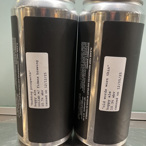 Troon - Budding Prospects (fidens collab) & Old Words Worn Thin