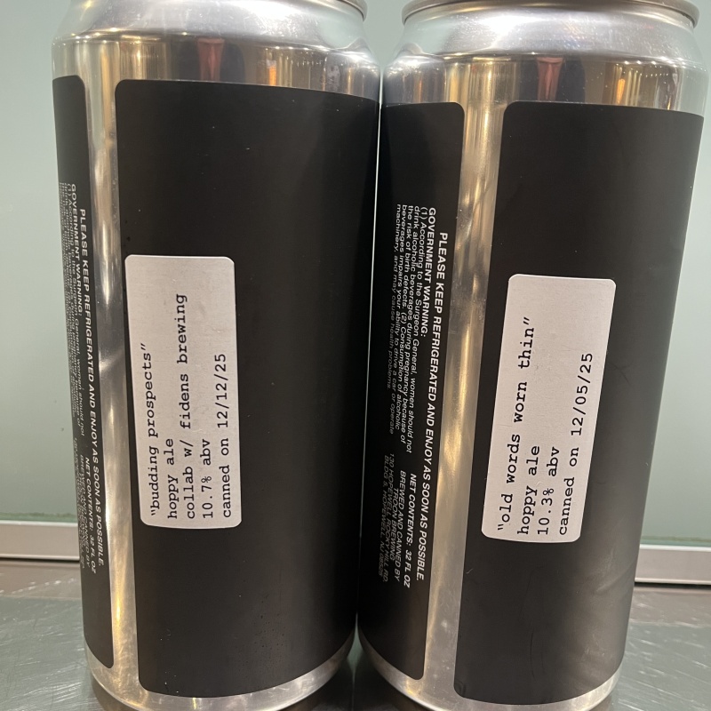 Troon - Budding Prospects (fidens collab) & Old Words Worn Thin