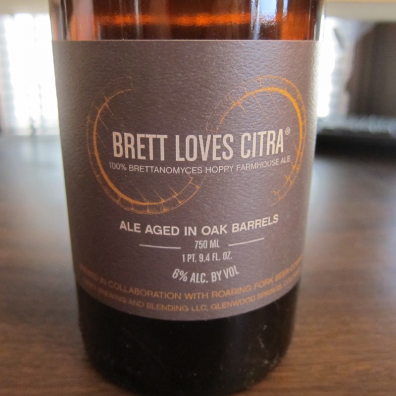 Casey Brett Loves Citra Saison 2016 750
