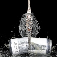 Fidens ddh Eugene’s Axe (x2)