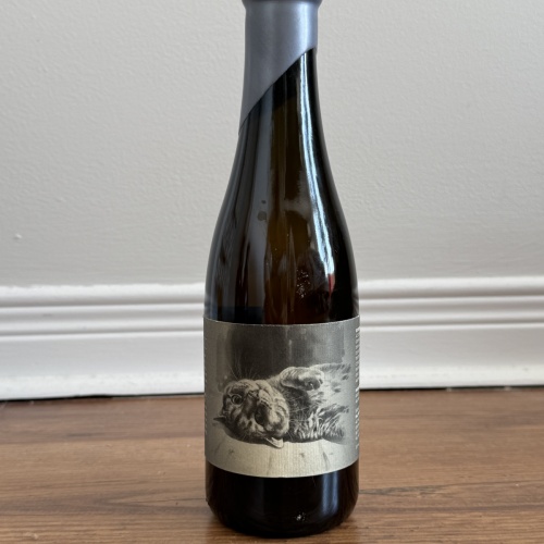 B2 Hill farmstead clover (art & ann blend only!)