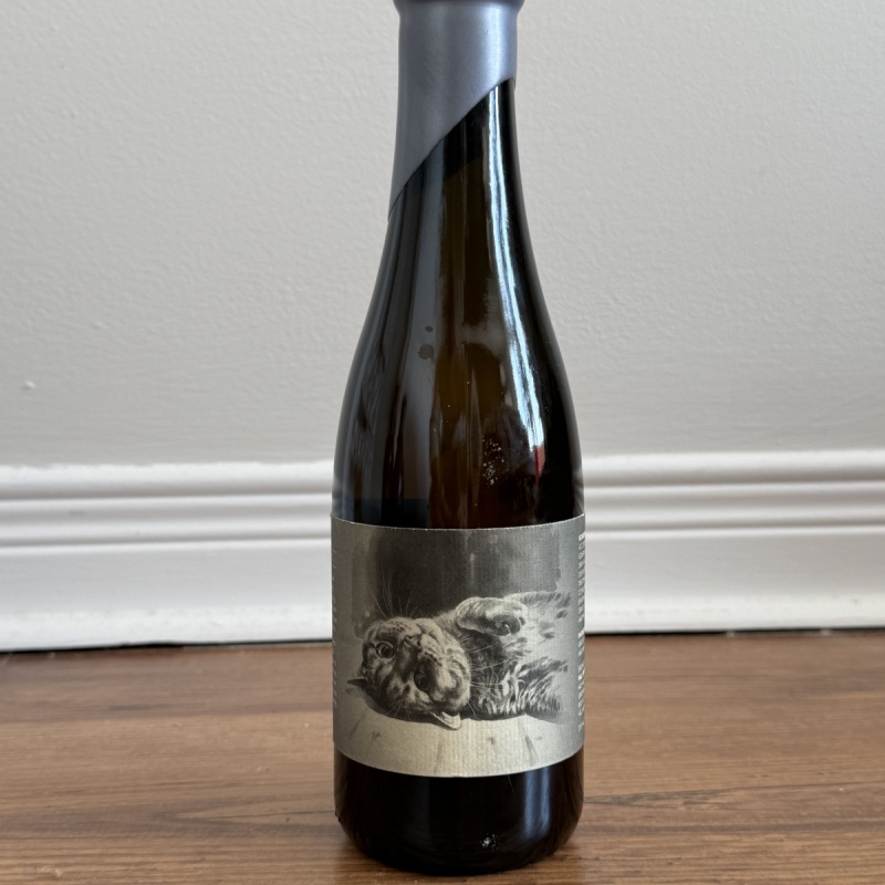 B2 Hill farmstead clover (art & ann blend only!)