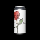Fidens Rose