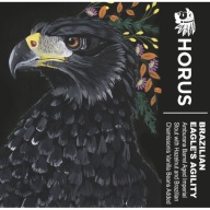 Horus- Brazilian Eagle's Agility