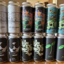 Fidens mixed 12 pack