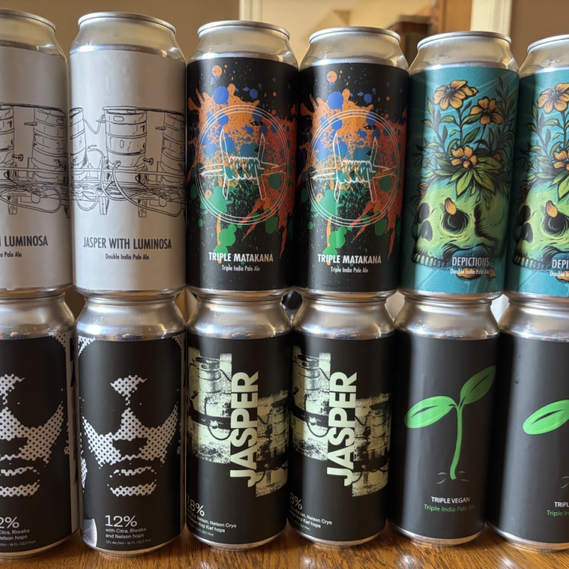 Fidens mixed 12 pack