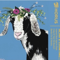 Horus - 38,388 and Counting