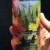 Tree House ~ Curiosity Forty Two (10/27 canning) Curiosity 42