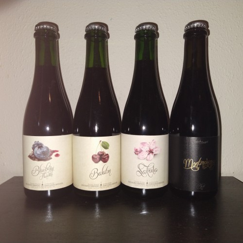 Side Project Cherry & Blueberry Wild Ales Set of 4