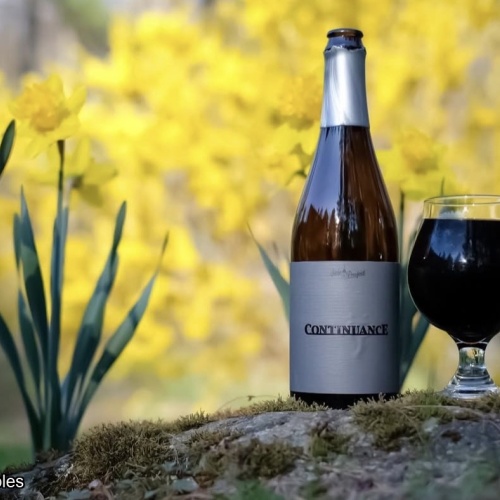 Side Project - Continuance Blend 6
