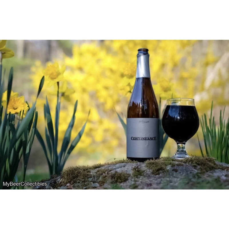 Side Project - Continuance Blend 6