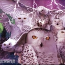 Clag x Back to the Wild Tundra Ghosts