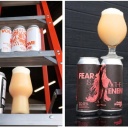 Fidens mixed 16 pack